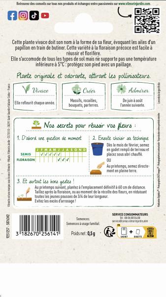 Fleurs - Lavande Papillon - Graines d'Exception - MEDIA_PACKAGING_VERSO